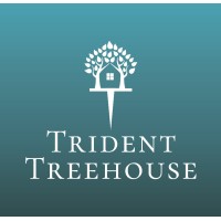 PT. TRIDENT TREEHOUSE CONSULTANCY