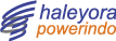 PT Haleyora Power